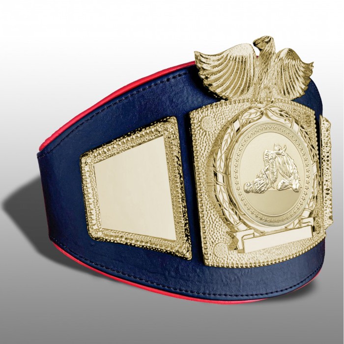 PROEAGLE JIU JITSU CHAMPIONSHIP BELT - PROEAGLE/G/JJG - AVAILABLE IN 6+ COLOURS